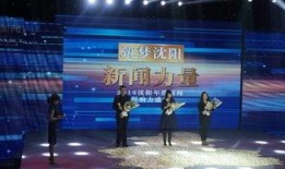 沈阳精彩爆料新闻视频回放,揭秘精彩爆料背后的真相